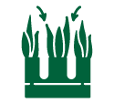 lawn-icon
